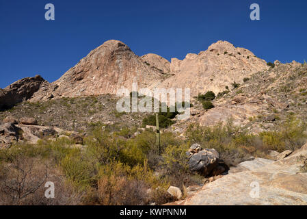 Mendoza, Coyote Canyon sauvage, montagnes, désert de Sonora, en Arizona, USA, Banque D'Images