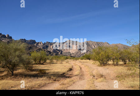 Mendoza, Coyote Canyon sauvage, montagnes, désert de Sonora, en Arizona, USA, Banque D'Images