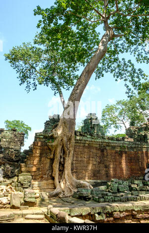 Preah Khan temple dans le soleil du matin Banque D'Images