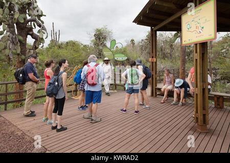 Groupe de touristes à la Station de recherche Charles Darwin, l'île de Santa Cruz, parc national des Galapagos, îles Galapagos, Equateur Amérique du Sud Banque D'Images