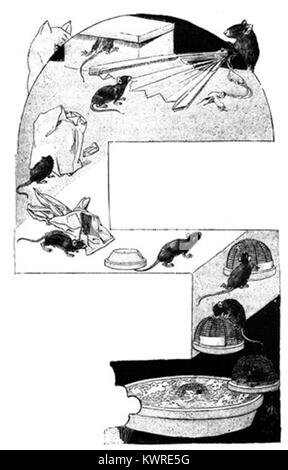 Illustration représentant des scènes du roman de Benito Pérez Galdós « la segunda casaca », représentant la littérature espagnole du XIXe siècle et l’interprétation visuelle du texte. Banque D'Images