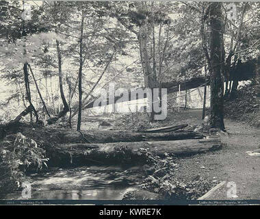 Une photographie datant d’environ 1891 montrant le parc Ravenna à Seattle, Washington, mettant en évidence le paysage naturel du parc et son rôle dans le développement précoce des espaces verts publics de la ville. Banque D'Images