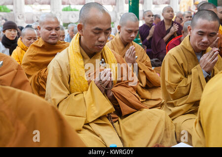 Moines priant au pied de l'arbre de la Bodhi (où le Bouddha est dit avoir obtenu l'illumination) à l'ensemble du Temple de la Mahabodhi à Bodhgaya, Inde Banque D'Images