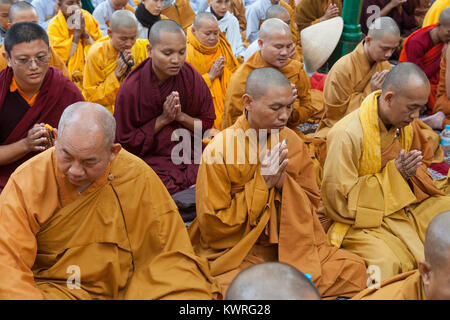 Moines priant au pied de l'arbre de la Bodhi (où le Bouddha est dit avoir obtenu l'illumination) à l'ensemble du Temple de la Mahabodhi à Bodhgaya, Inde Banque D'Images