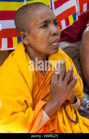 Une femelle Un moine en prière au pied de l'arbre de la Bodhi (où le Bouddha est dit avoir obtenu l'illumination) à l'ensemble du Temple de la Mahabodhi à Bodhgaya, Inde Banque D'Images