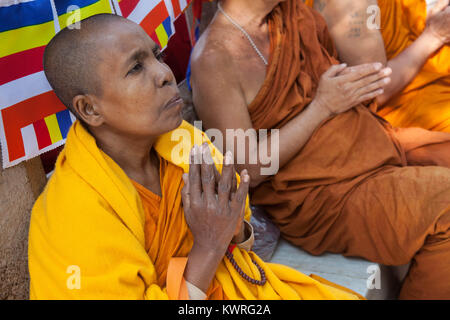 Une femelle Un moine en prière au pied de l'arbre de la Bodhi (où le Bouddha est dit avoir obtenu l'illumination) à l'ensemble du Temple de la Mahabodhi à Bodhgaya, Inde Banque D'Images