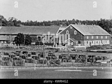 Une photographie de 1937 de la ferme Lvsjögrds Ladugård en Suède montrant des bâtiments agricoles, des terres agricoles, du bétail et des activités rurales. Banque D'Images
