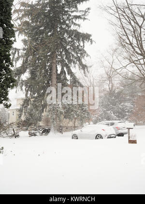 Chappaqua, NY, États-Unis. 4th janvier 2018. La tempête d'hiver Grayson, un blizzard de cyclone de la bombe (nommé par les météorologistes pour une forte chute de pression atmosphérique), a frappé la côte est avec des conditions de blancheur, des températures froides verglaçantes, jusqu'à un pied de neige prévu à mesure que la chute de neige se poursuit. Déclaré l'état d'urgence dans le comté de Westchester où des rafales de vent de 50 mph ont été enregistrées ce matin. Journée de neige pour les écoles et les entreprises fermée en raison de la tempête de neige. La force de Gale s'enroule jusqu'à 80 km/h à mesure que la tempête de neige s'aggrave. Crédit : © 2018 Marianne Campolongo/Alay Live News. Banque D'Images