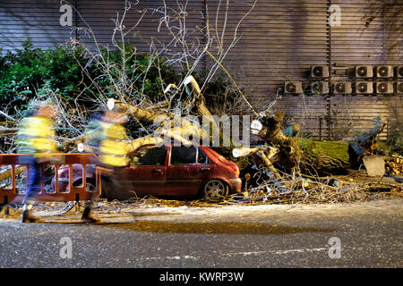 Londres, Royaume-Uni. 08Th jan 2018. Météo France : Eleanor tempête souffle arbre de plus de la route et des voitures dans l'Est de Londres, Royaume-Uni. Credit : ZEN - Zaneta Razaite / Alamy Live News Banque D'Images