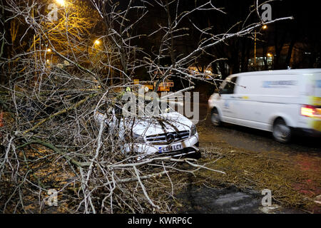 Londres, Royaume-Uni. 08Th jan 2018. Météo France : Eleanor tempête souffle arbre de plus de la route et des voitures dans l'Est de Londres, Royaume-Uni. Credit : ZEN - Zaneta Razaite / Alamy Live News Banque D'Images