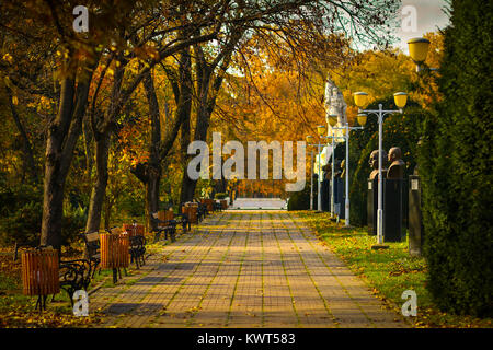 Décor de l'automne sur les personnalités de Central Park à Timisoara, Timis, Roumanie Banque D'Images