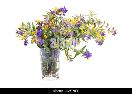 Bouquet de fleurs Ivan-da-Marya dans verre isolé sur fond blanc Banque D'Images