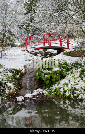 Le pont japonais et les arbres d'hiver dans la neige en décembre à Batsford Arboretum, Cotswolds, Moreton-in-Marsh, Gloucestershire, Angleterre Banque D'Images