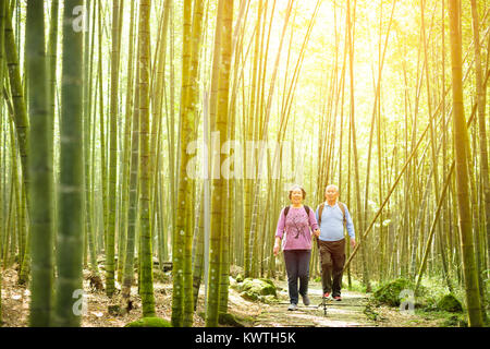 Senior Couple randonnées en forêt de bambou vert