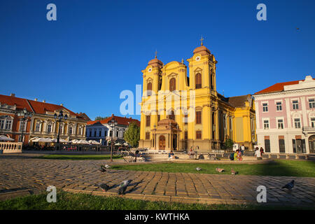 Timisoara, Roumanie - Piata Unirii (Union Square) par le Dôme Catholique Banque D'Images
