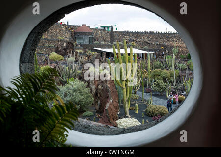Jardin de cactus, Guatiza, Lanzarote, îles Canaries, Espagne. Banque D'Images