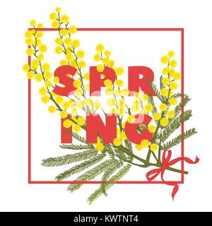 Spring floral background avec de belles fleurs de mimosa. Carte de souhaits multicolores avec blanc, rose et vert. Vector illustration Illustration de Vecteur