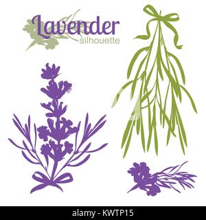 Jeu de silhouettes de fleurs de lavande. Vector illustration Illustration de Vecteur