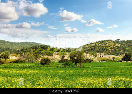 Partie de Patara ruins derrière les champs verts luxuriants de fleurs jaunes sous un ciel bleu avec des nuages blancs Banque D'Images