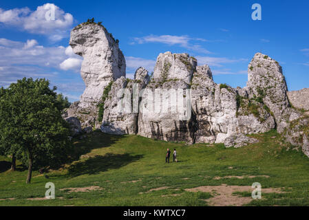 Les roches en forme de chameau à côté de ruines de château d'Ogrodzieniec Podzamcze, village en partie de nids d'Aigles château système en voïvodie de Silésie de Pologne Banque D'Images