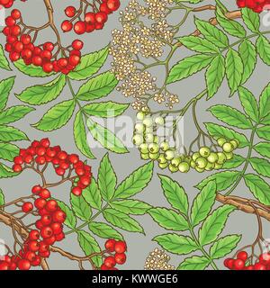 Branches de rowan modèle vectoriel sur un fond de couleur Illustration de Vecteur