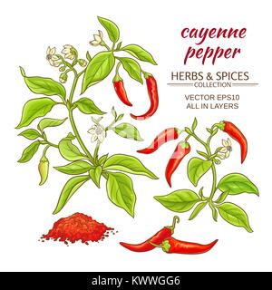 Poivre de cayenne vector set sur un fond de couleur Illustration de Vecteur