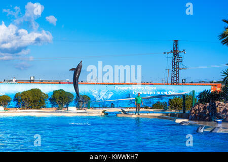 Les dauphins au Zoo de l'Attique, Athènes, Grèce Banque D'Images