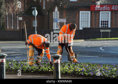 Jardiniers travaillant parmi les massifs fleuris de Farnborough, Hampshire, Royaume-Uni, pour Rushmoor Borough Council Banque D'Images