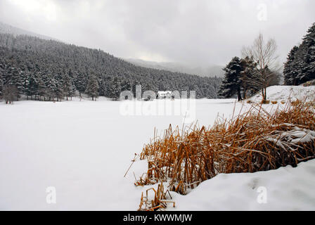 En hiver dans le Parc National de Golcuk Bolu Turquie province. Banque D'Images