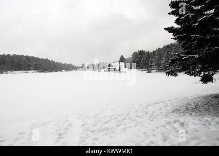 En hiver dans le Parc National de Golcuk Bolu Turquie province. Banque D'Images