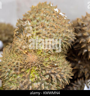 Gros plan de fruits thaïlandais Durian sur un marché Banque D'Images