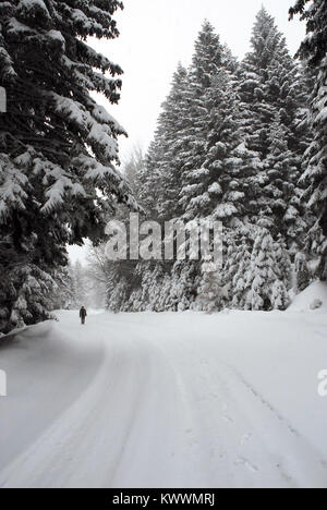 En hiver plateau Aladag Bolu province de la Turquie. Banque D'Images