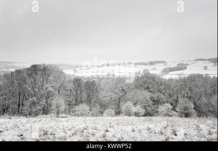 La neige a couvert la campagne anglaise en hiver snowy County Durham en bois du nord de l'Angleterre d'hiver Banque D'Images