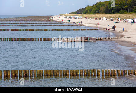 Protection du littoral, épis à la plage de Zingst, Fishland, Mecklembourg-Poméranie-Occidentale, de la mer Baltique, l'Allemagne, de l'Europe Banque D'Images