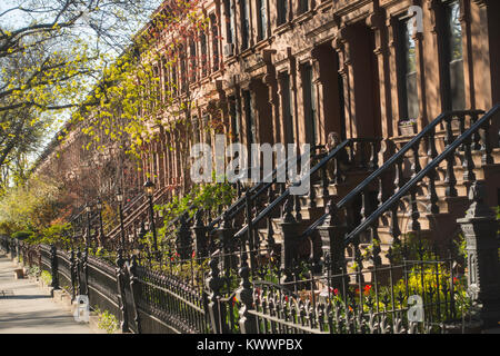 Maisons de grès dans park slope Brooklyn NYC Banque D'Images