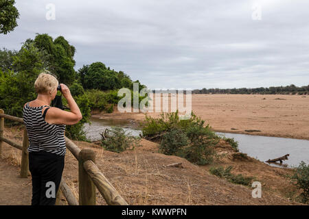 Femme à la recherche avec des jumelles à l'eau du fleuve Limpopo et Luvuvhu à Crooks Corner à la frontière entre l'Afrique du Sud, le Mozambique et le Zimbabwe. L Banque D'Images