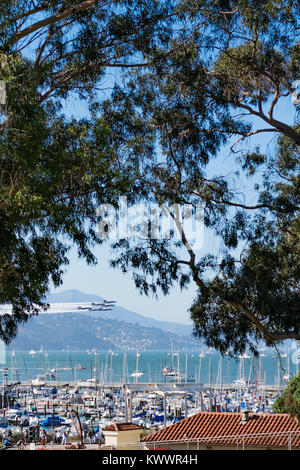 Blue Angels à travers les arbres sur une Marina Banque D'Images