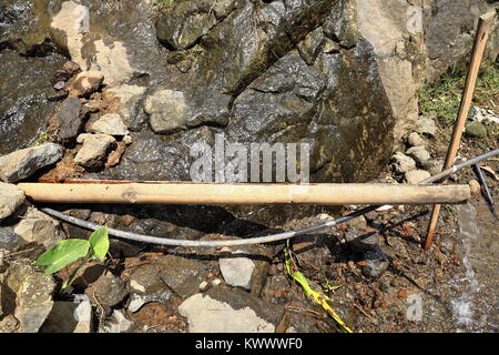 La conduction de l'eau au moyen d'un bâton de bambou et d'un flexible en caoutchouc noir capture le flux d'une source dans la montagne. Barangay Bocos Banaue-municipalit Banque D'Images