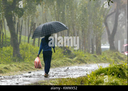 Girl avec parapluie un jour de pluie à Cerro Punta, Chiriqui province, République du Panama. Banque D'Images
