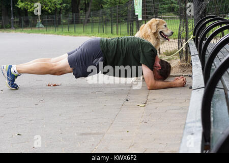 Homme d'âge moyen de l'exercice dans Central Park alors que son chien est attendait patiemment. Banque D'Images