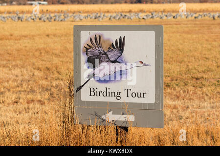 Birding Trail sign, Bernardo Wildlife Management Area, Nouveau Mexique Banque D'Images