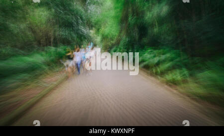 De dessein de chemin focus dans les bois avec les gens - maux de tête, nausées et métaphore de la maladie Banque D'Images