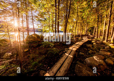 Lever de soleil sur l'étang de la Jordanie et le conseil marche à travers la forêt dans l'Acadia National Park. Banque D'Images