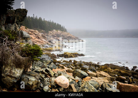 Matin brumeux et berges rocheuses de l'ouest de Point dans l'Acadia National Park. Banque D'Images