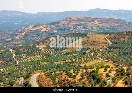 Vue aérienne des fermes, des jardins et prés sur hills Banque D'Images