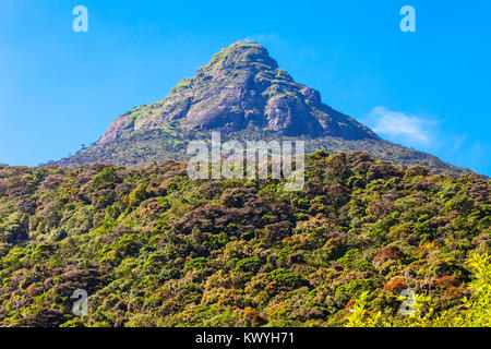 Adams Peak ou Sri Pada est une haute montagne au Sri Lanka. Adams pic est bien connu pour le Temple Sri Paadaya avec empreinte de Bouddha sacré bouddhiste en t Banque D'Images