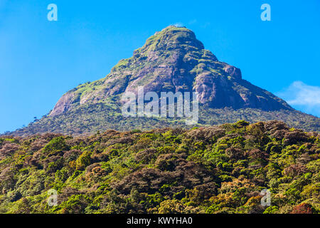 Adams Peak ou Sri Pada est une haute montagne au Sri Lanka. Adams pic est bien connu pour le Temple Sri Paadaya avec empreinte de Bouddha sacré bouddhiste en t Banque D'Images