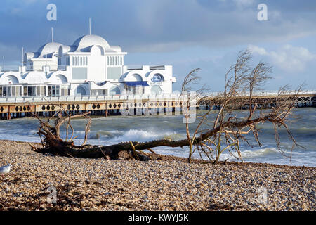 Un grand arbre est dans les débris rejetés sur la plage pendant une tempête eleanor comme vu ici près de South parade pier uk angleterre southsea Banque D'Images