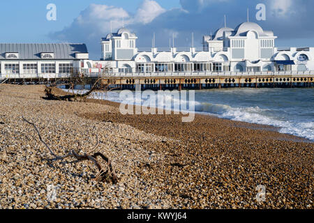 Un grand arbre est dans les débris rejetés sur la plage pendant une tempête eleanor comme vu ici près de South parade pier uk angleterre southsea Banque D'Images