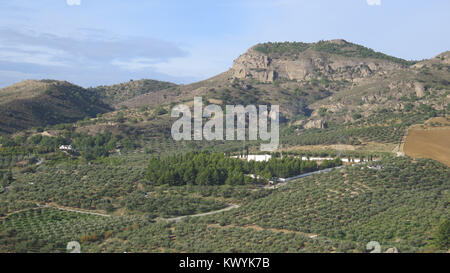 Vue sur la vallée à travers le cimetière de Alora au milieu des oliviers Banque D'Images